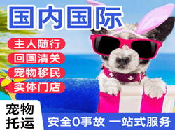 青岛航空邮寄国际宠物托运 【国